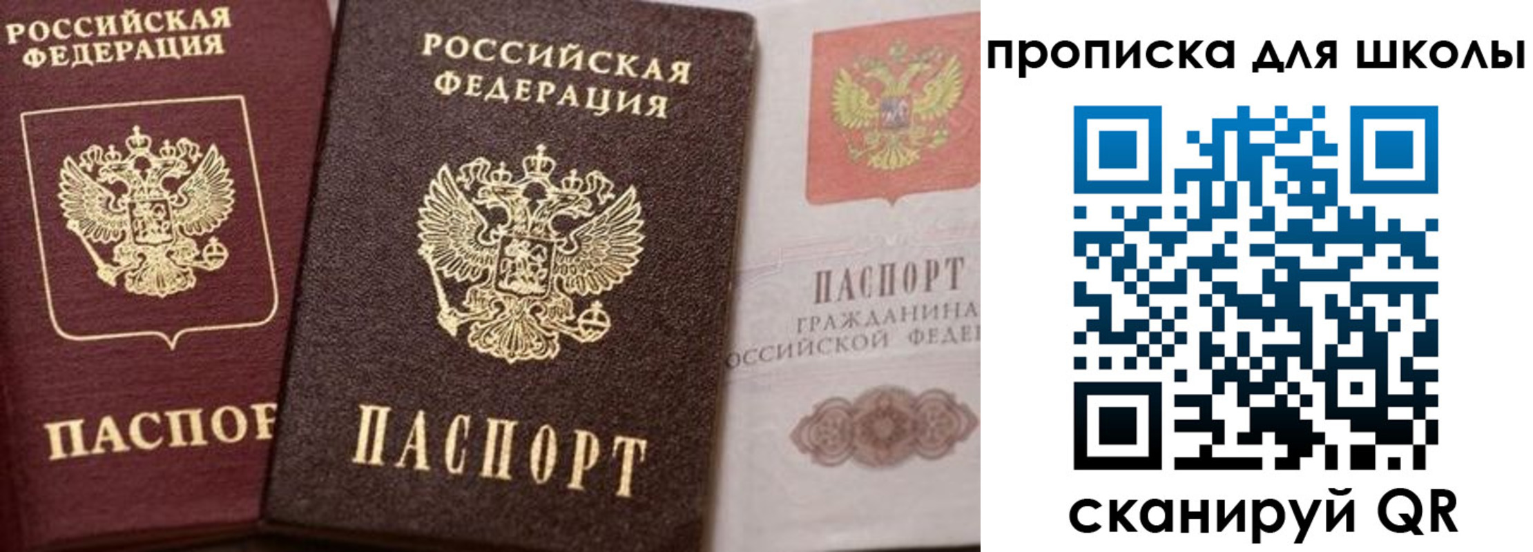 прописка законно в Волгодонске